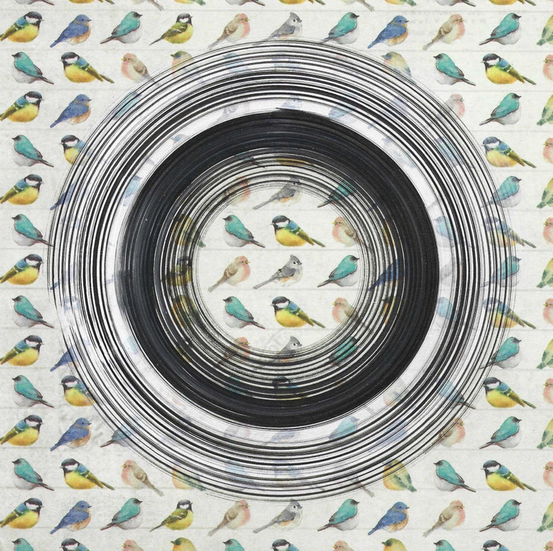 Colorful Birds In A Circle