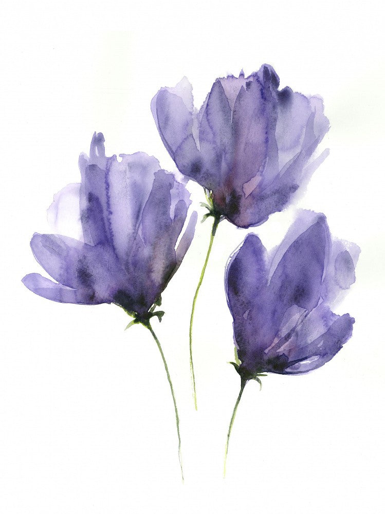 Dramatic Purple Flower