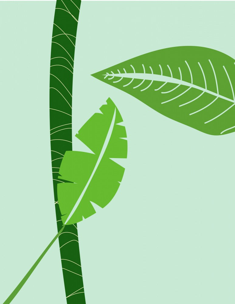 Leafy Silhouettes