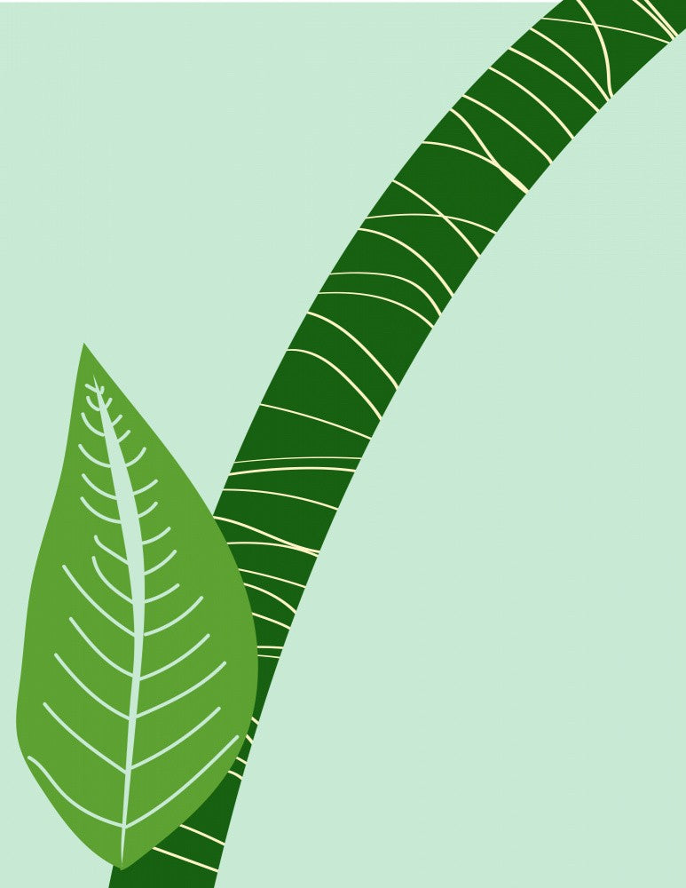 Leaf Checkmark