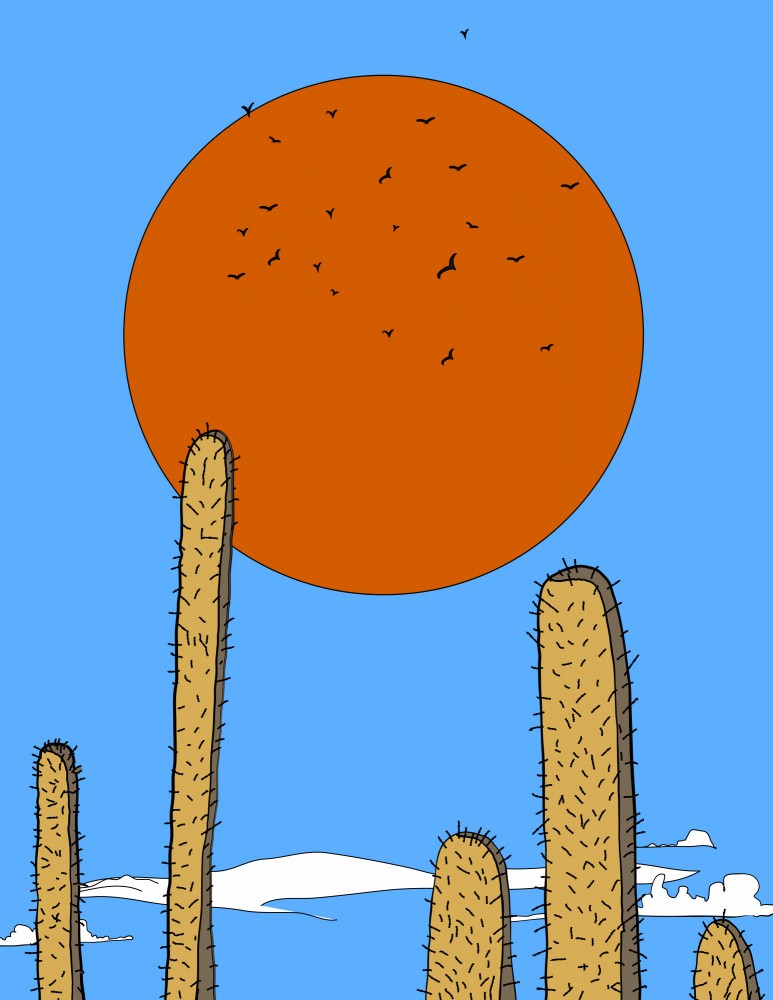Desert Solstice Sky