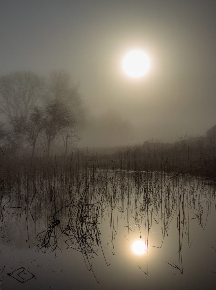 Mistycal Sunrise