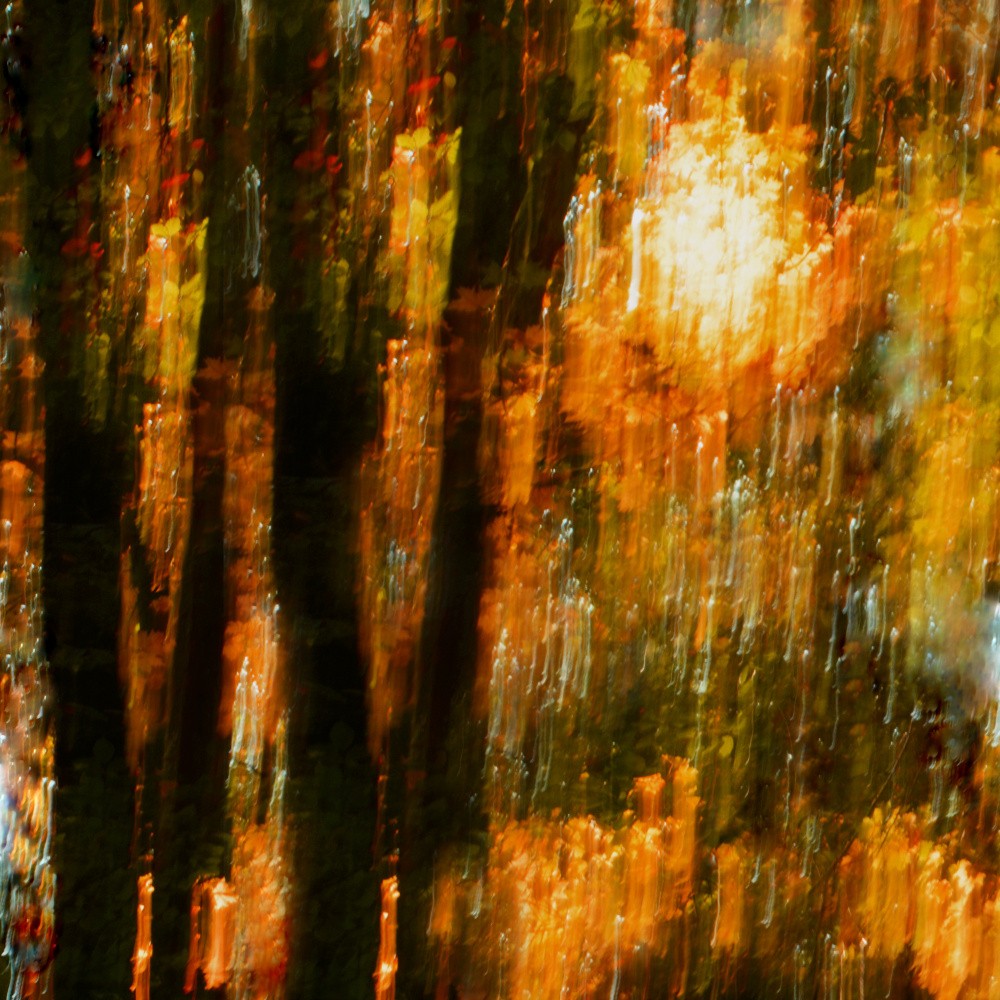 Blazing Autumn Tapestry
