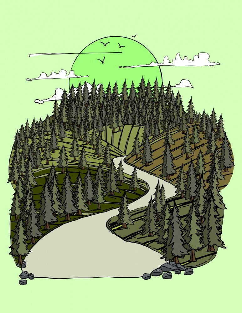 Serene Forest Path