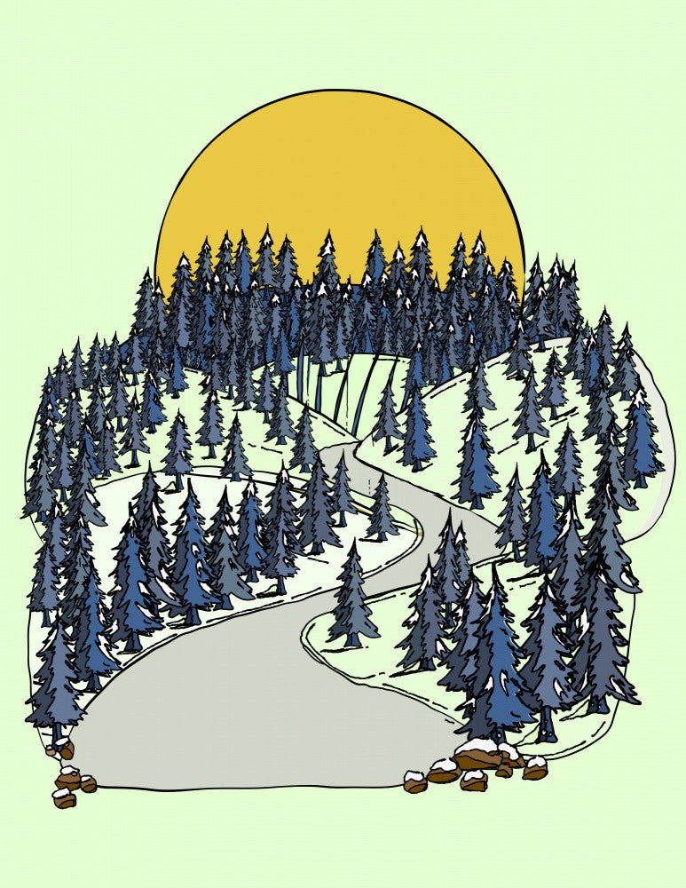 Sunlit Forest Path