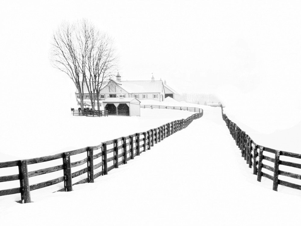 Winter Horse Barn