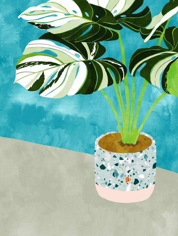 Variegated Monstera Tropical House Plant Terrazzo Plant Pot Watercolor Painting