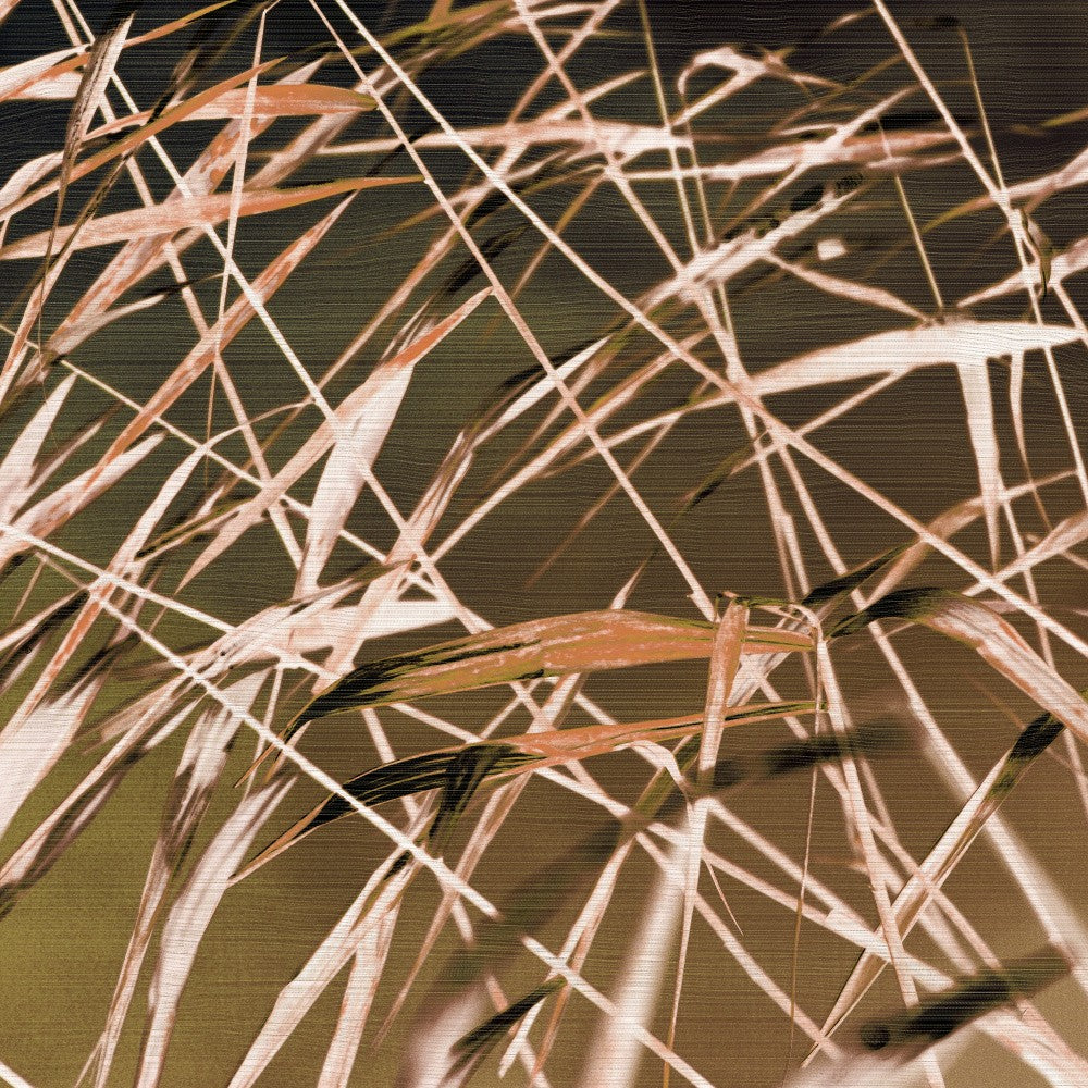 Blurred Lines Resembling Grass