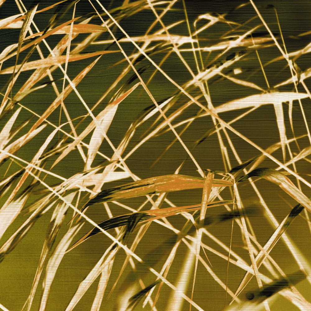 Rustling Grasses