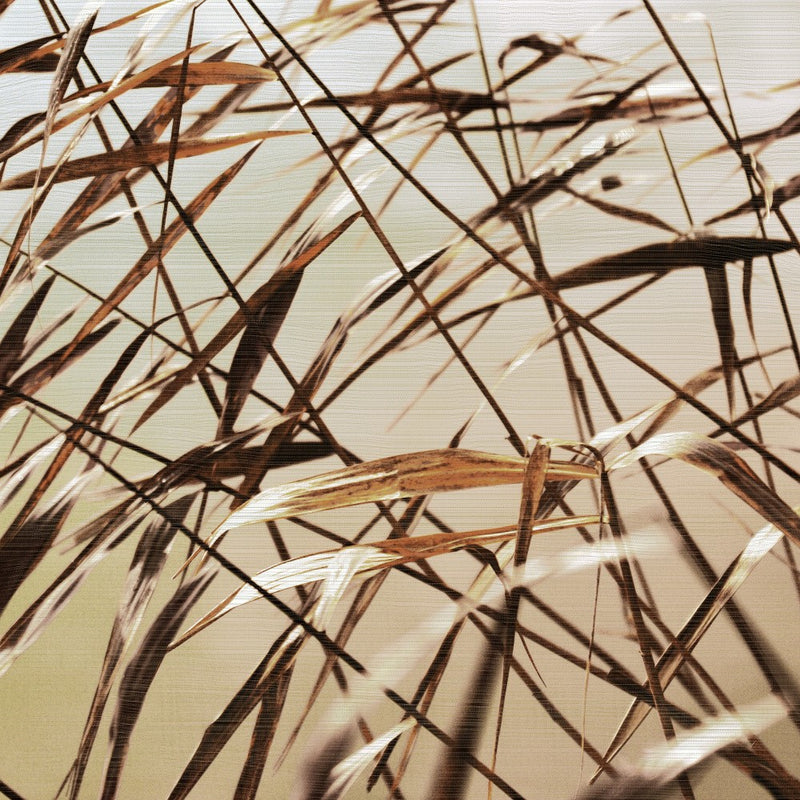 Golden Breeze