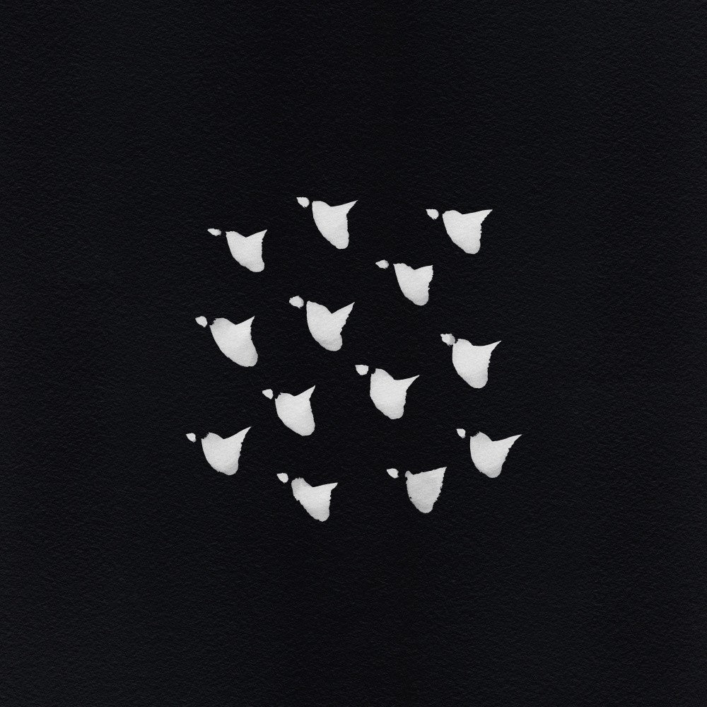Birds In Flight   Flock Blackwhite