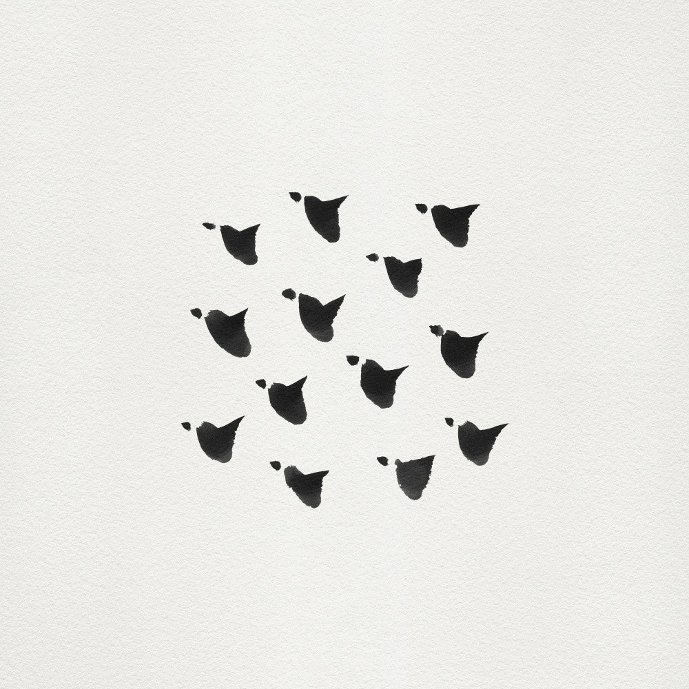 Birds In Flight   Flock