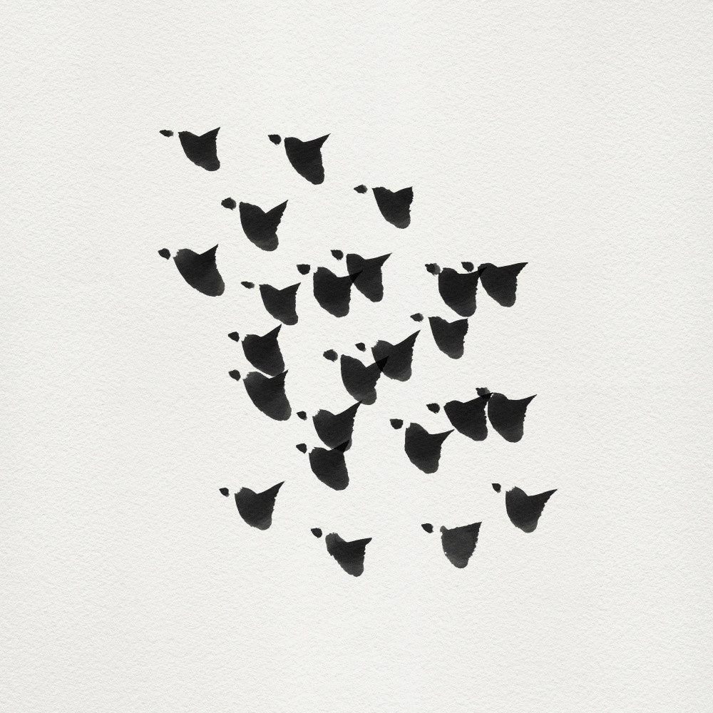 Birds In Flight   Upwards