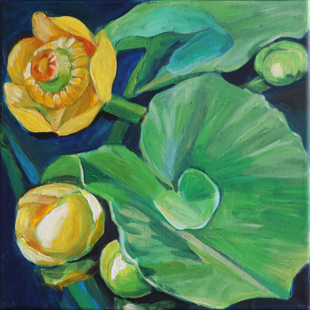 Vibrant Stunning Water Lily