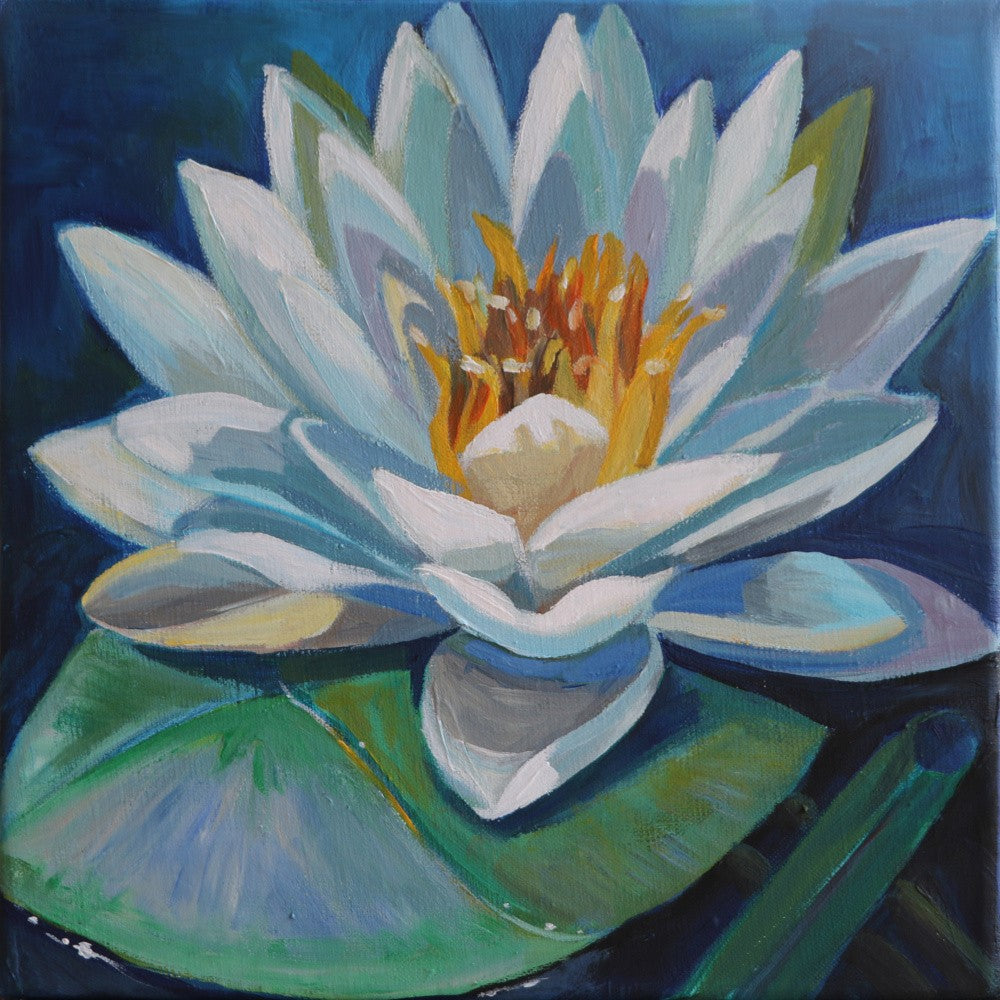 Vibrant Stunning Water Lily