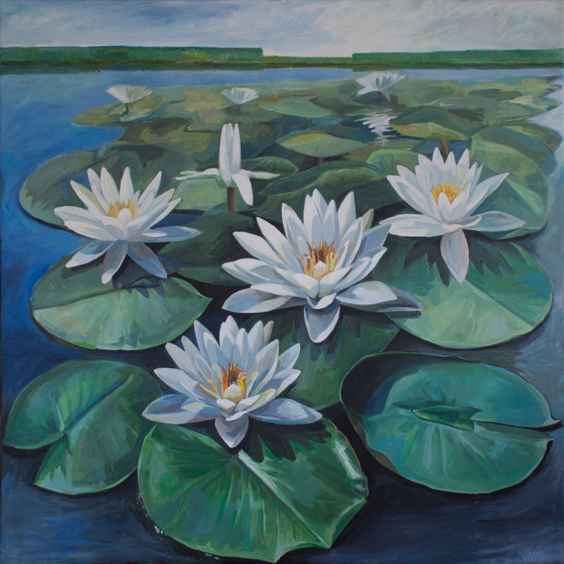 White Water Lilies