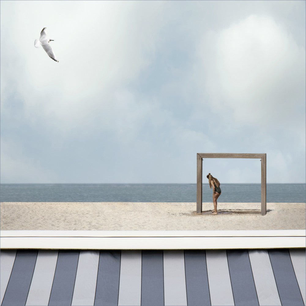 As free as a bird in the sky...