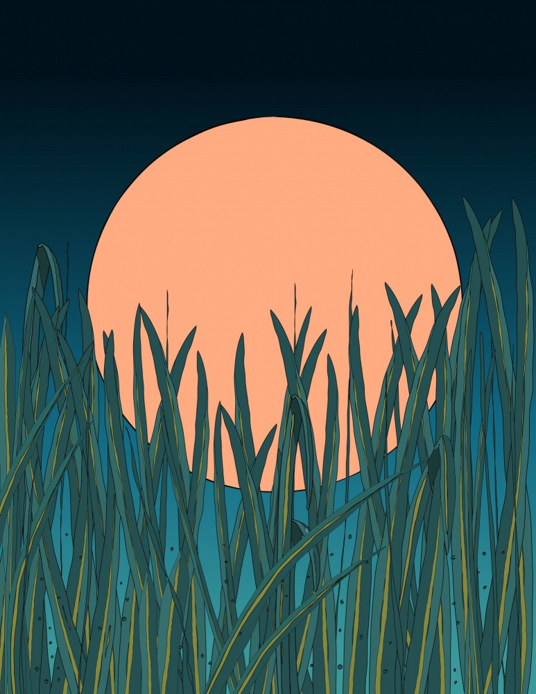 Grassland