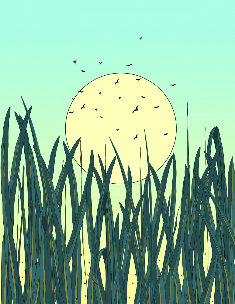 Early Morning