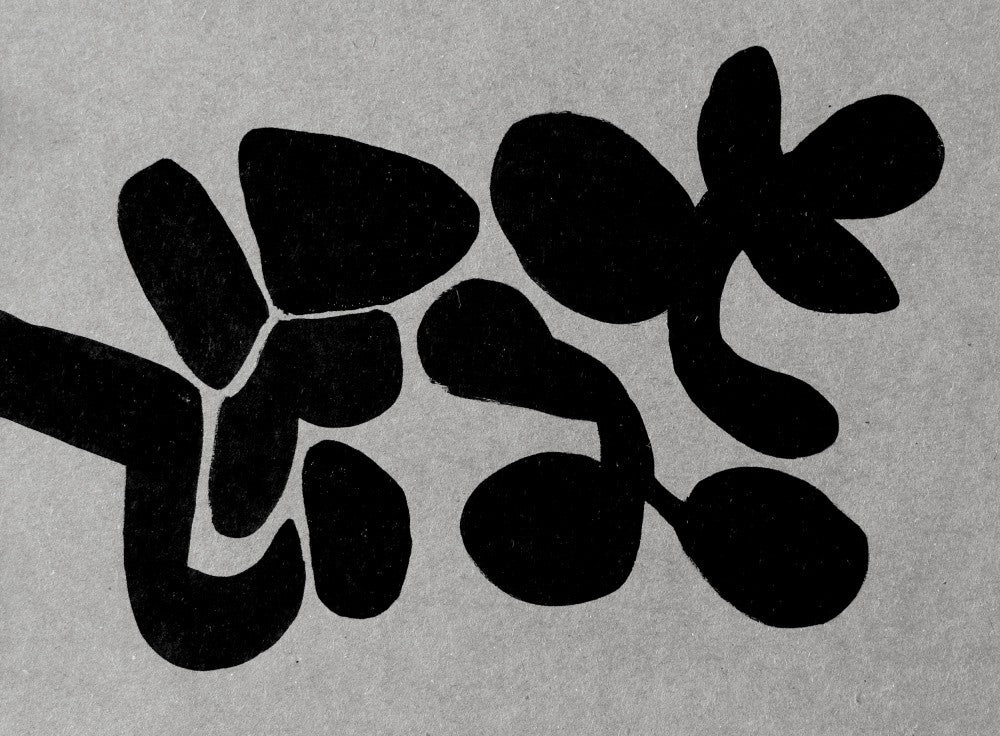 Abstract Blossoms