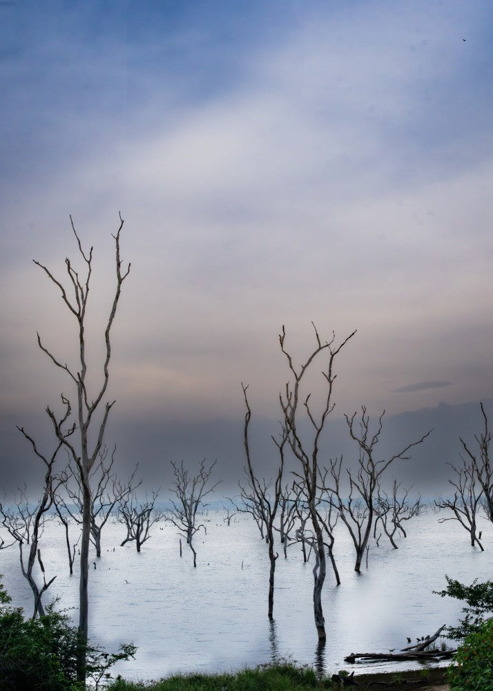 Yala national park.. Srilanka