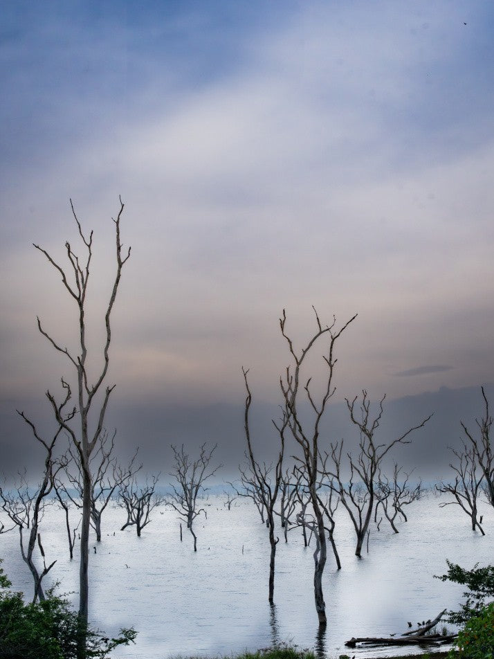 Yala national park.. Srilanka