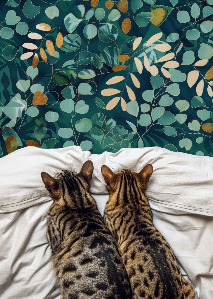 Two cats
