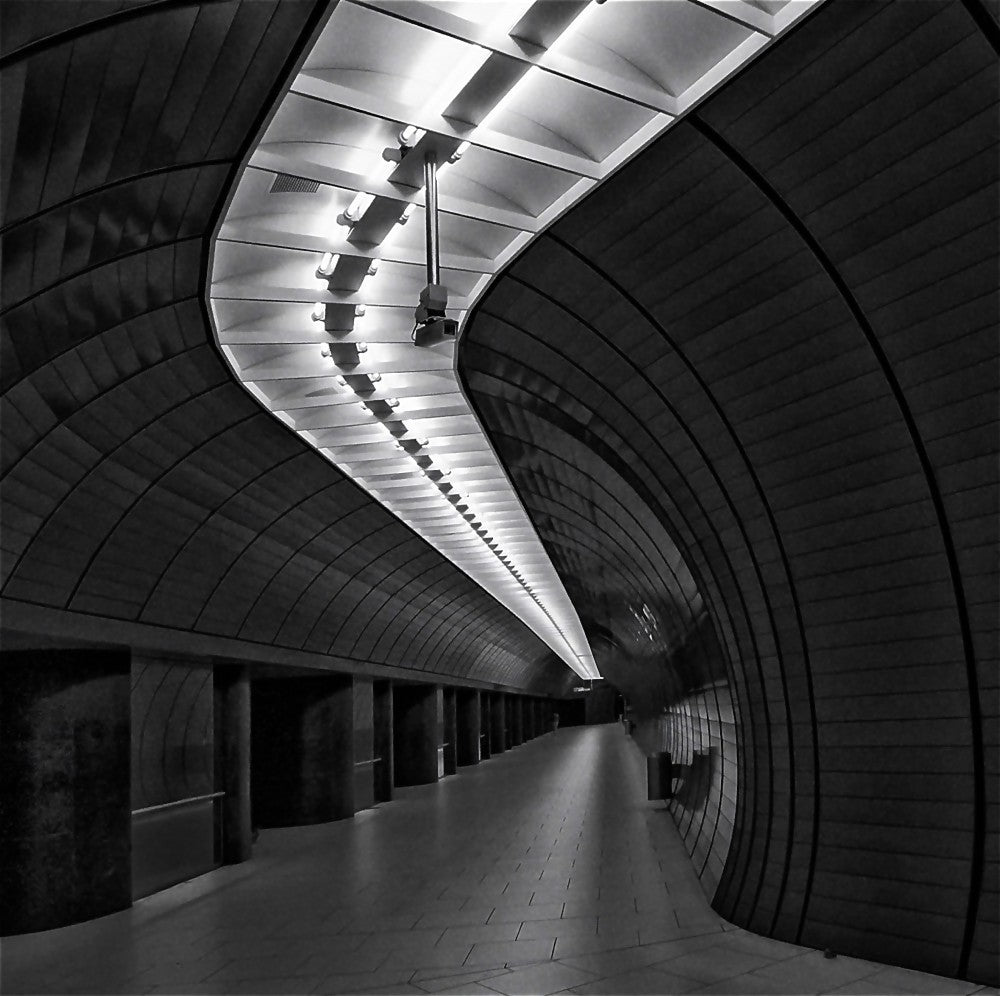 The light path
