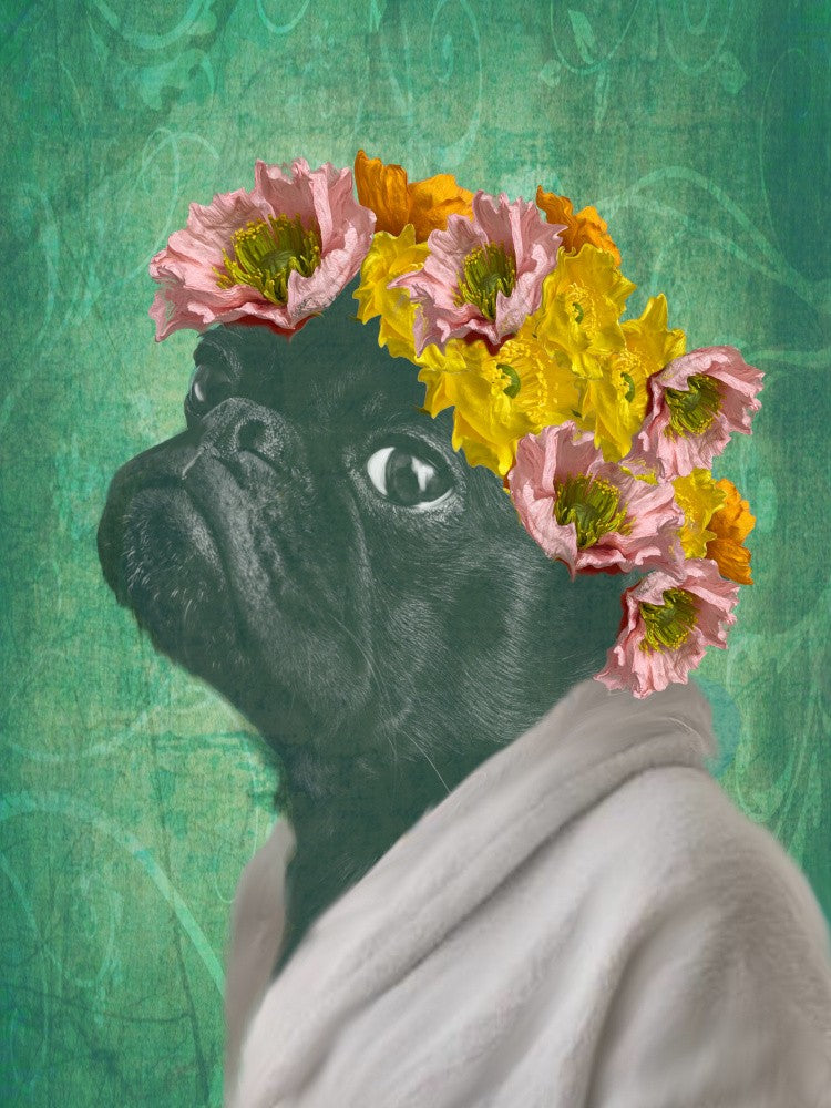 Pug Portrait