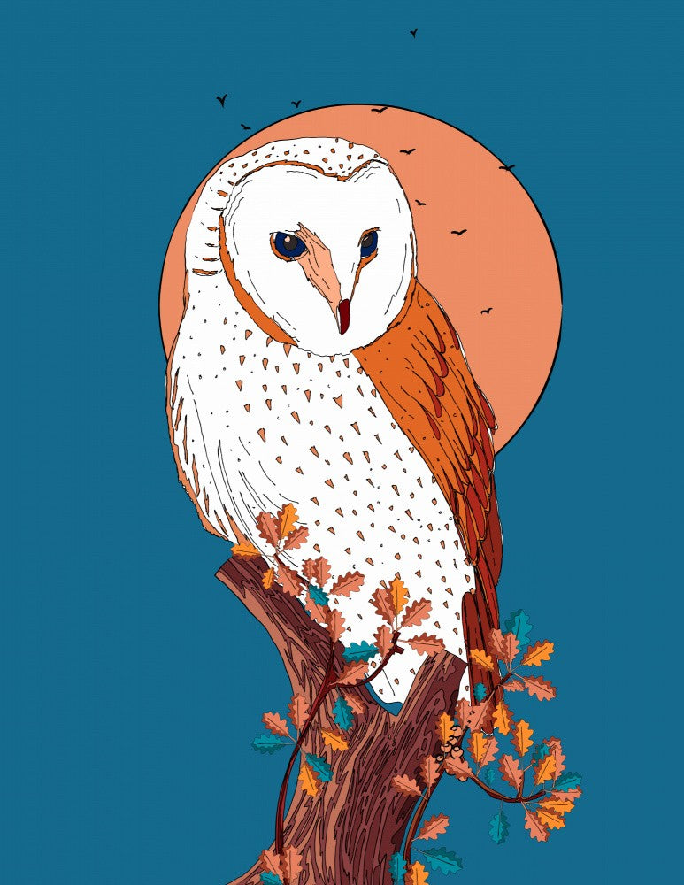 Owl
