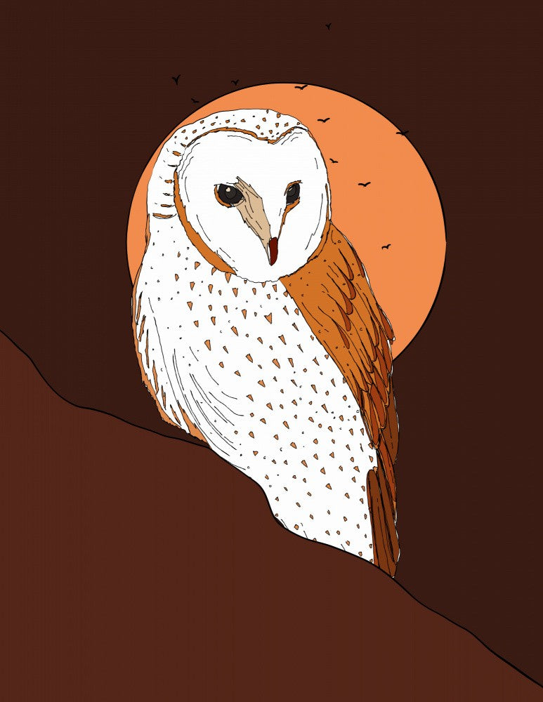 Beautiful Owl