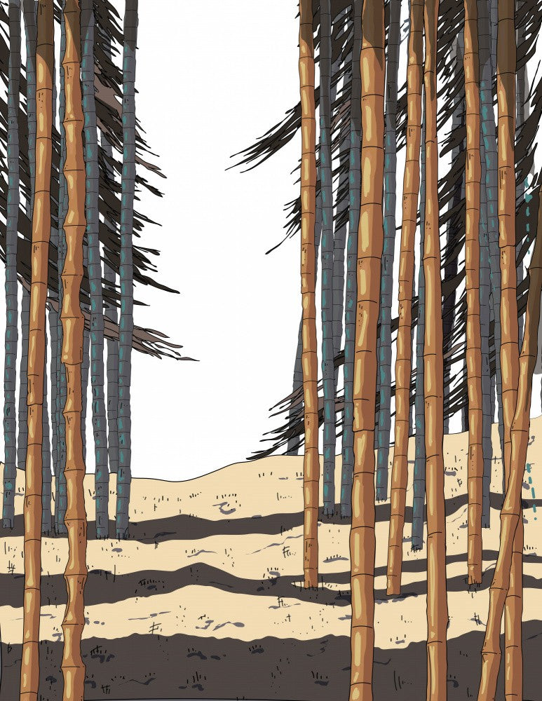 Bamboo Forest