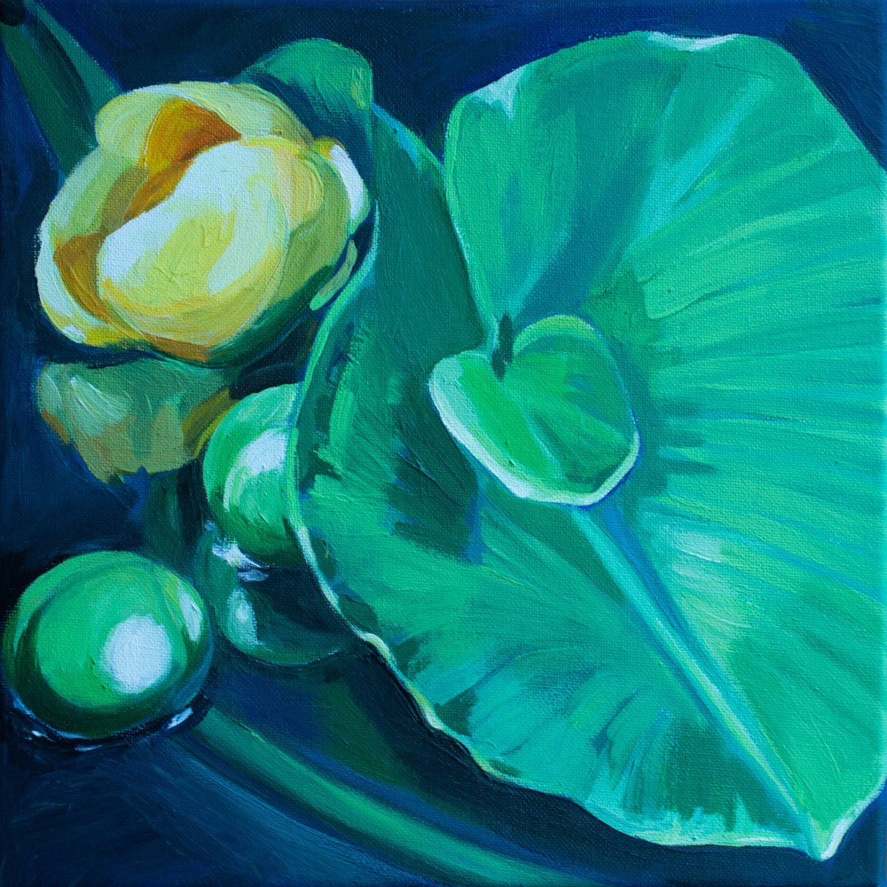 Lush Green Foliage And A Delicate Yellow Flower