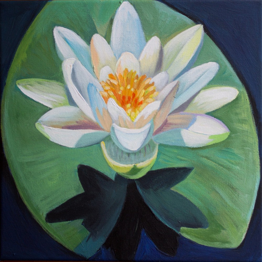 Vibrant Water Lily