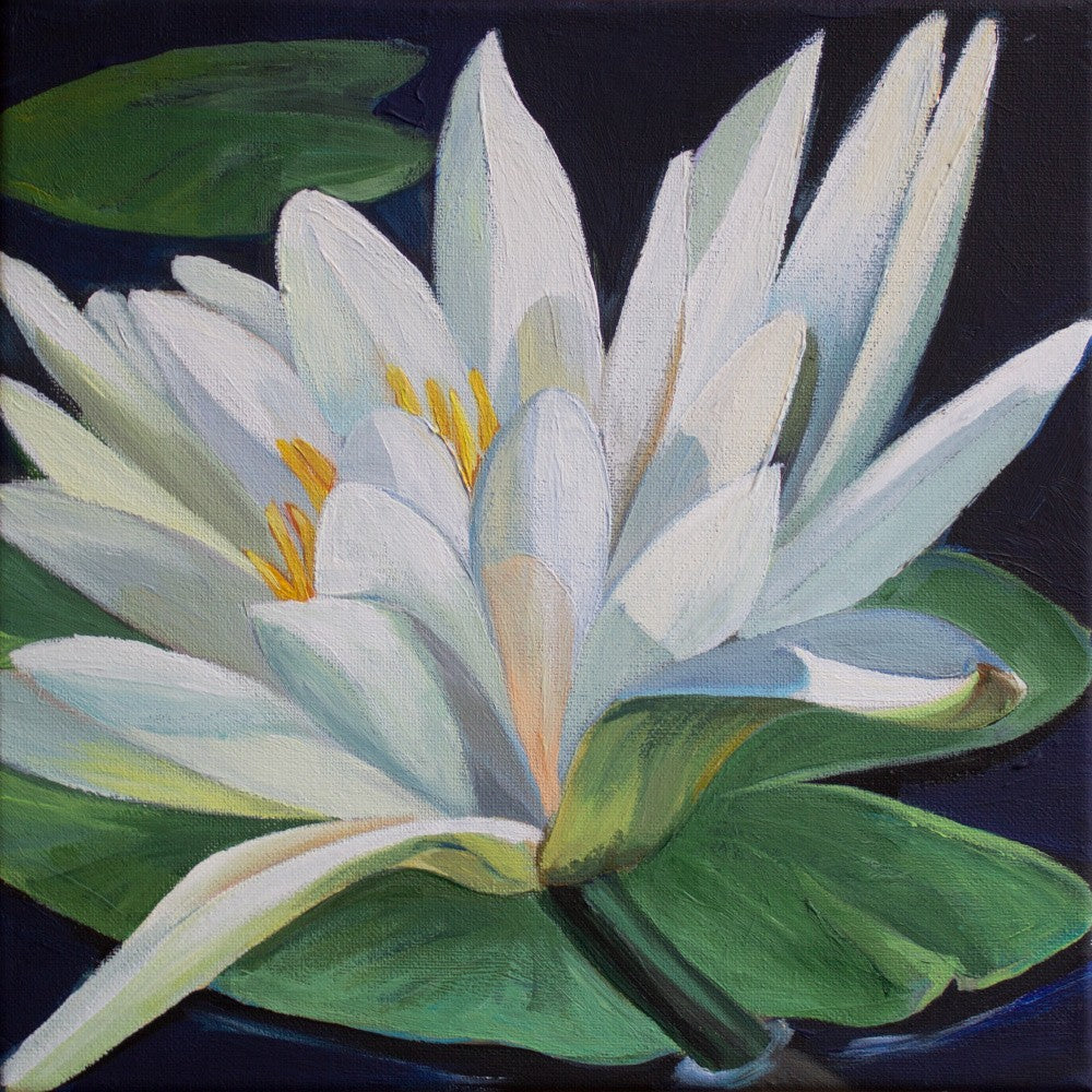 Elegance Of A White Lotus