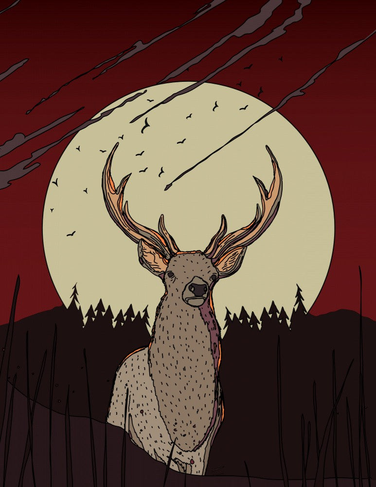 Scottish Deer