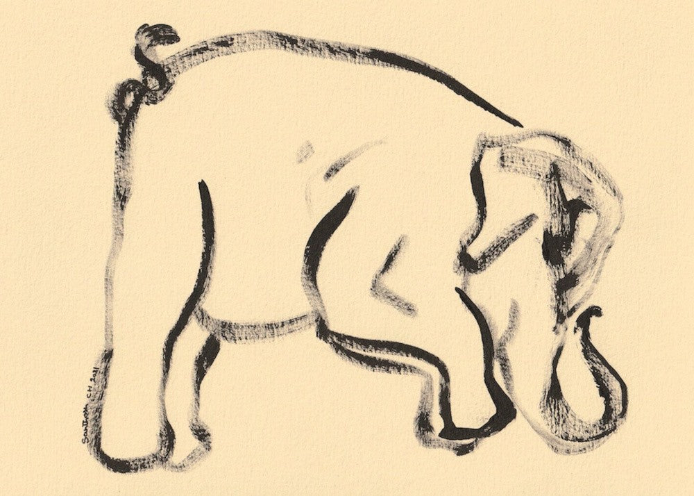 Gentle Elephant Strokes