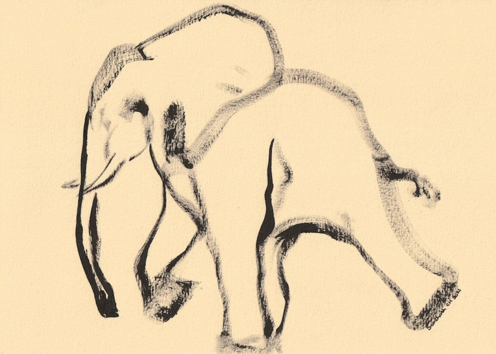 Gentle Giant Stroll