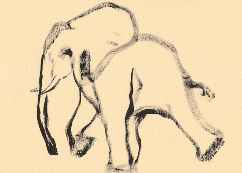 Gentle Giant Stroll