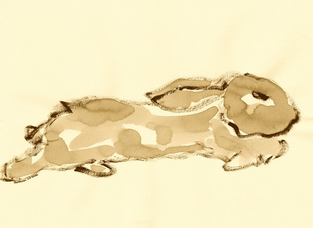 Contour de Lapin Doux
