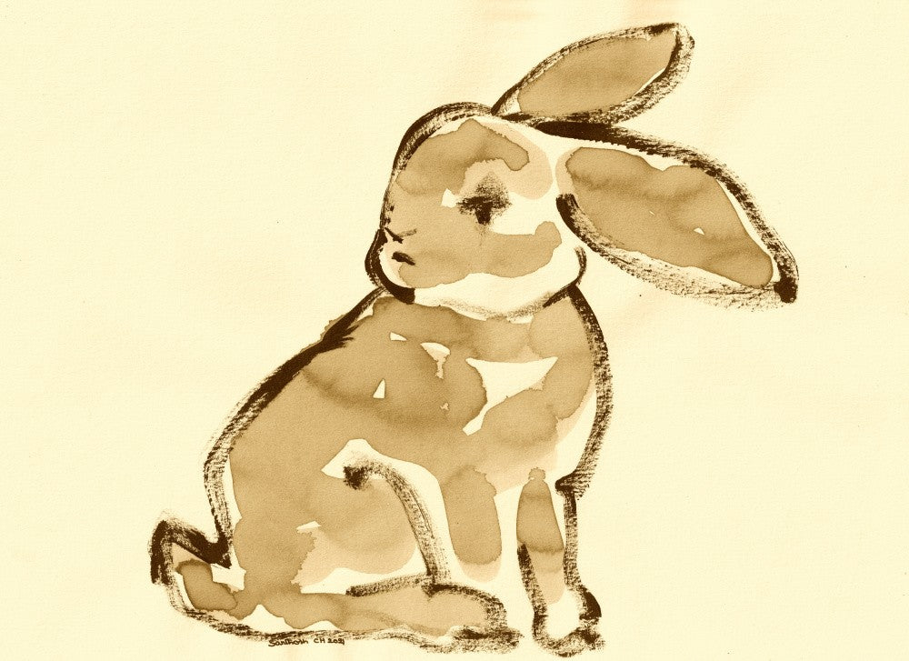 Gentle Rabbit Gaze