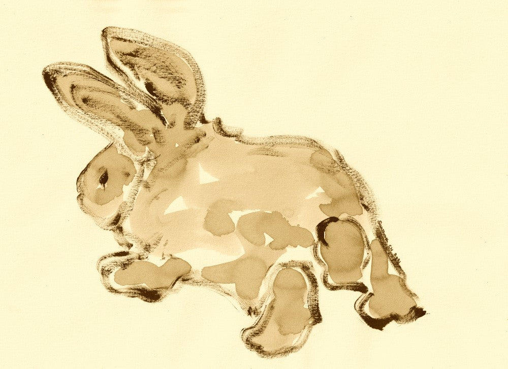 Bunny's Gentle Leap