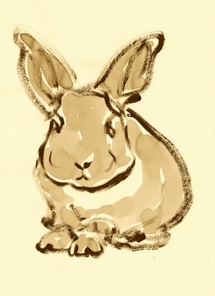 Gentle Bunny Sketch