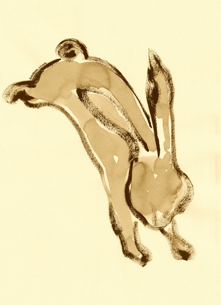 Graceful Leap