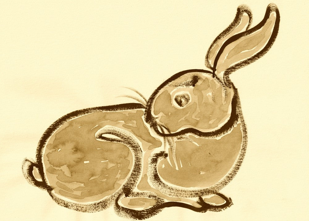 Gentle Rabbit Rest