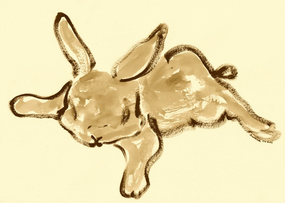 Dreaming Bunny