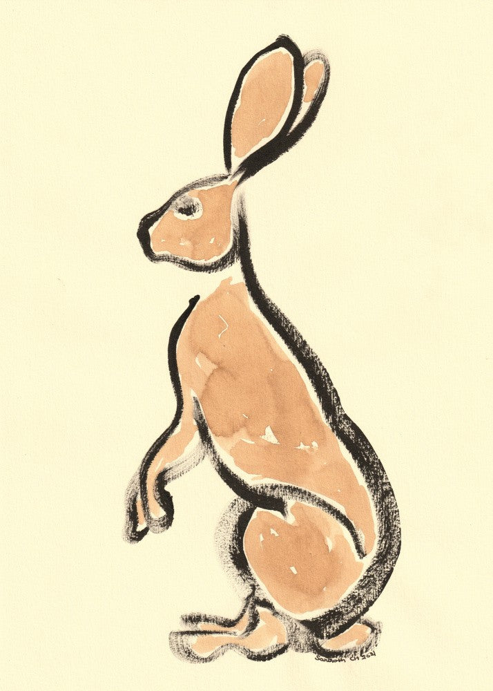 Whimsical Hare