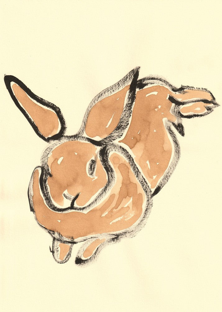 Gentle Bunny Leap
