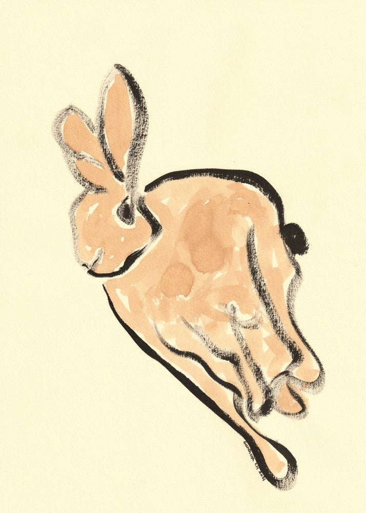 Bunny in Motion