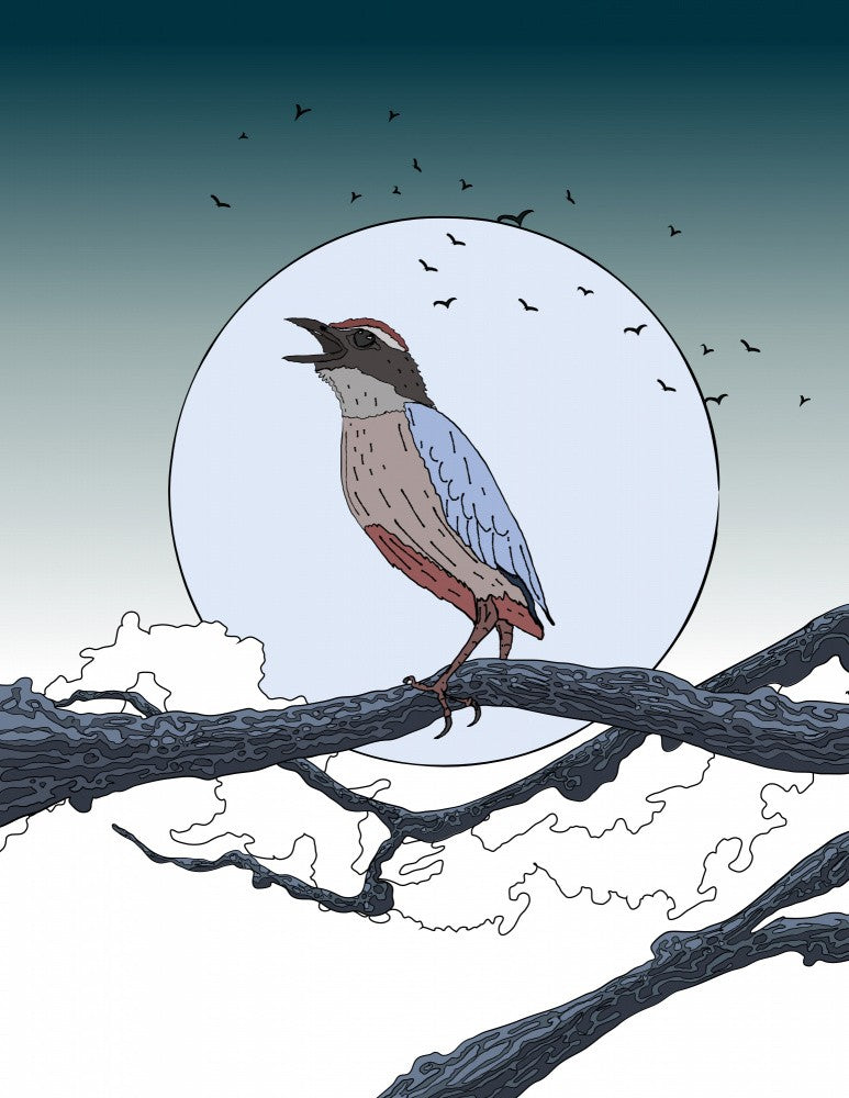 Bird on Branch at Moonlit Night